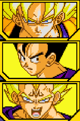 Le 25e Tenkaichi Budokai