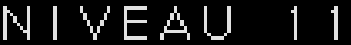 Niveau 11